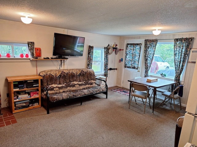 living room featuring carpet flooring and a textured ceiling