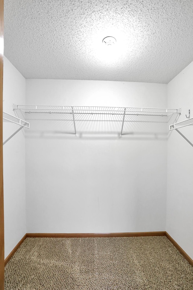 walk in closet featuring carpet
