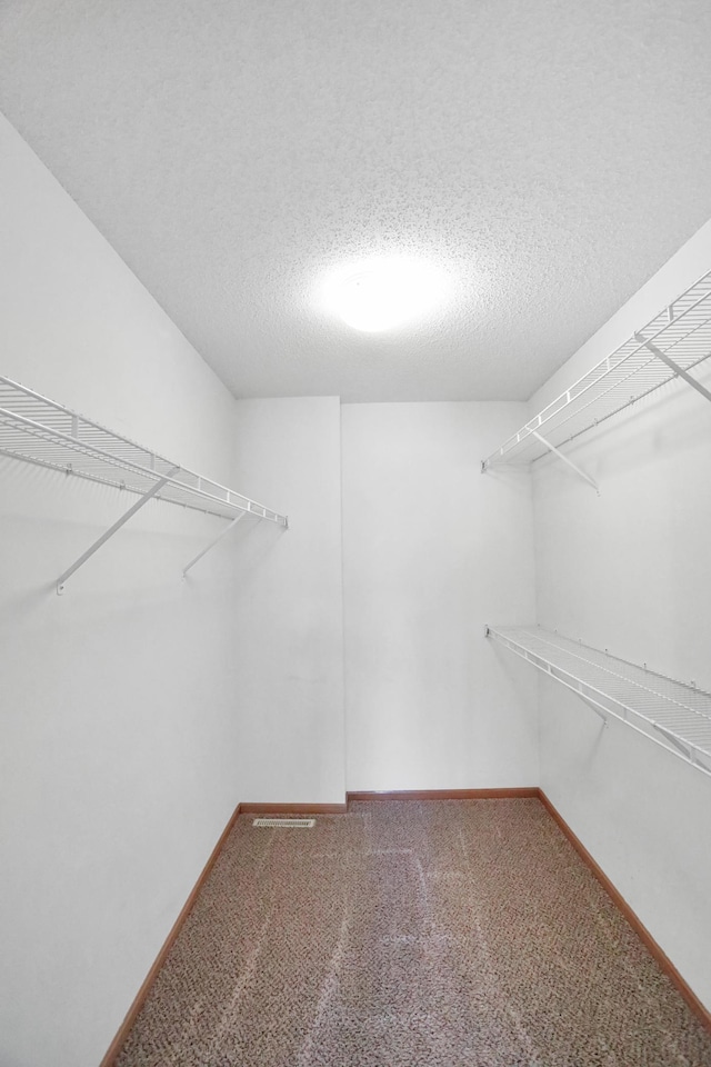 walk in closet with carpet floors