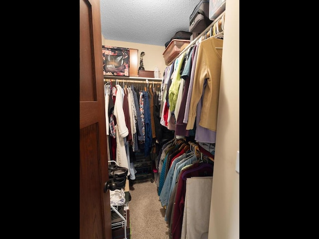 spacious closet featuring carpet floors