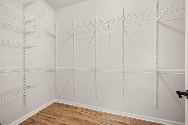 walk in closet featuring wood finished floors