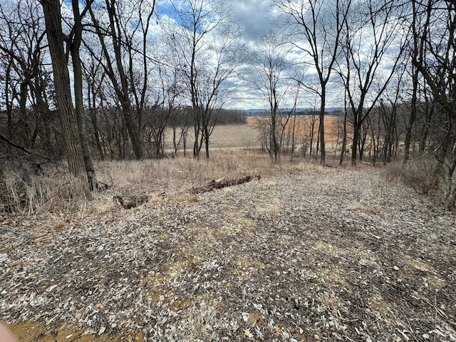 Listing photo 3 for WXXXX Sand Ridge Rd, Pepin WI 54759