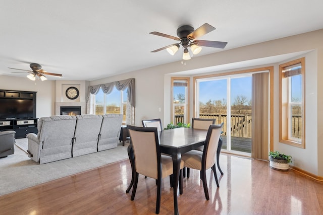 dining space featuring a glass covered fireplace, wood finished floors, baseboards, and ceiling fan