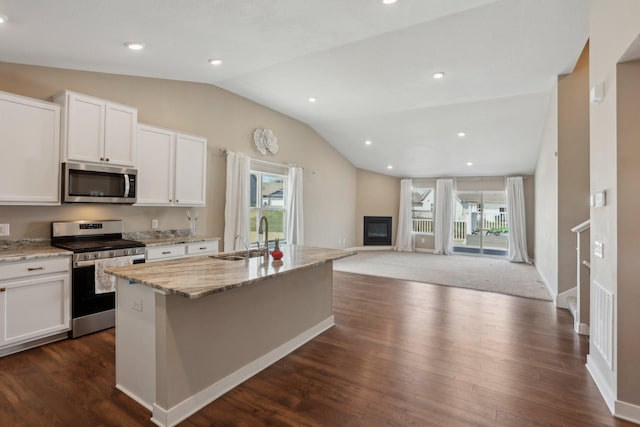 7295 Parson Ct NE, Otsego, MN 55330 - kitchen with light stone countertops, a sink, stainless steel appliances, a glass covered fireplace, and vaulted ceiling