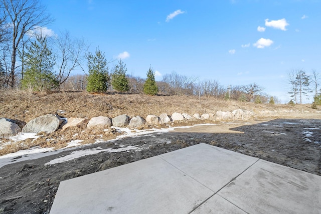 view of yard featuring a patio area