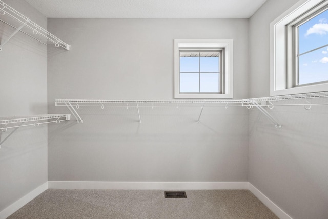 walk in closet with visible vents and carpet flooring