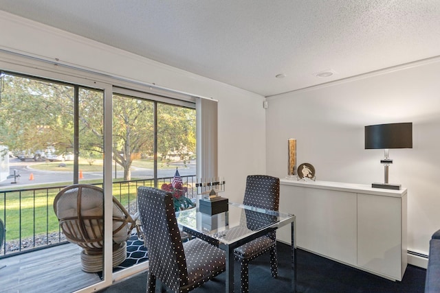 dining room featuring a baseboard heating unit and a textured ceiling