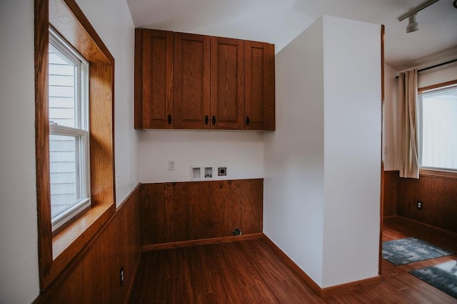 laundry area featuring dark wood finished floors, cabinet space, a healthy amount of sunlight, and wood walls