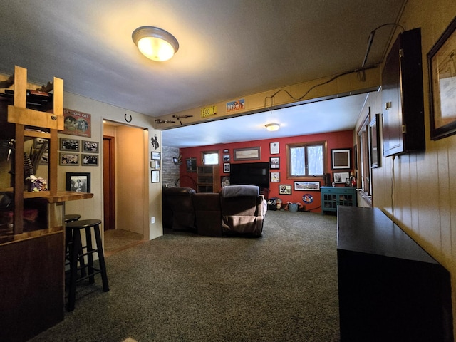 living area featuring carpet flooring