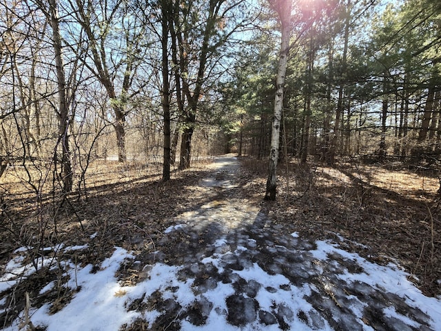 view of snow covered land