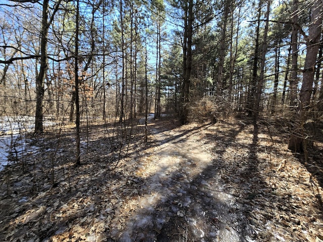 view of local wilderness featuring a forest view