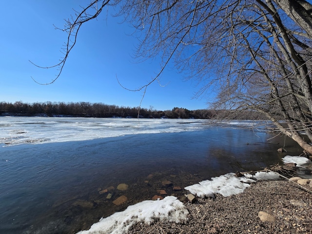 property view of water