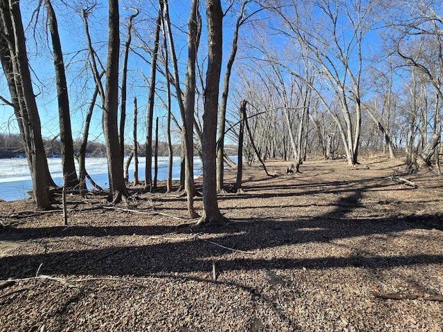 view of yard featuring a water view