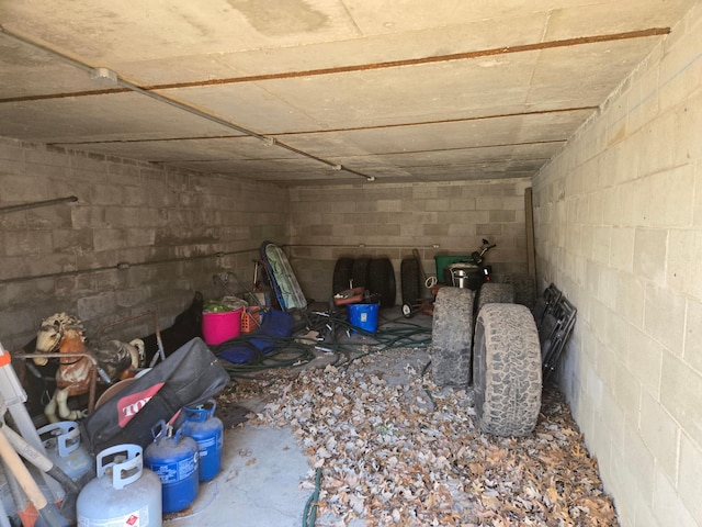 basement with concrete block wall