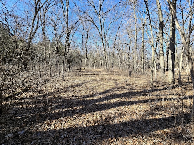 view of undeveloped land
