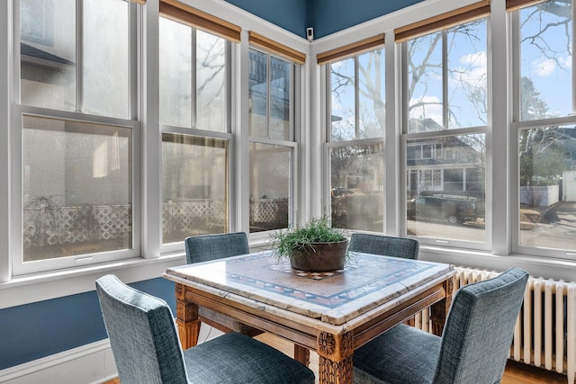 sunroom / solarium with radiator