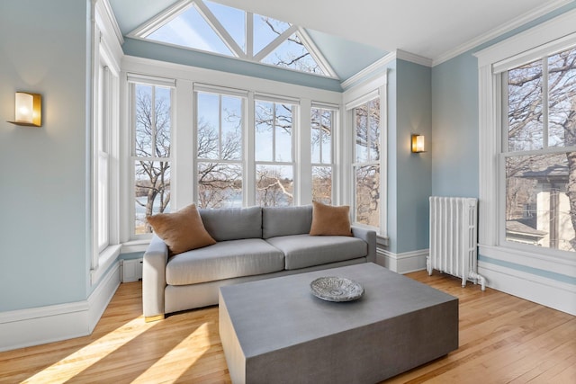 sunroom / solarium with vaulted ceiling and radiator