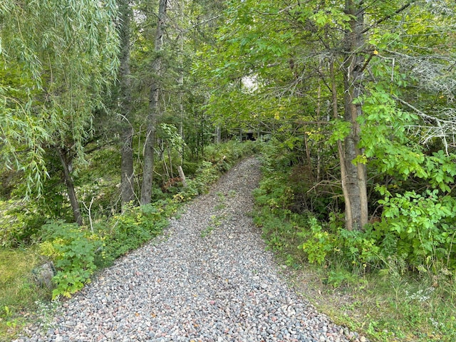 43826 Nature Ave, Palisade, MN 56469