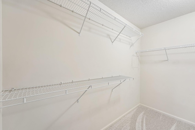 spacious closet featuring carpet flooring