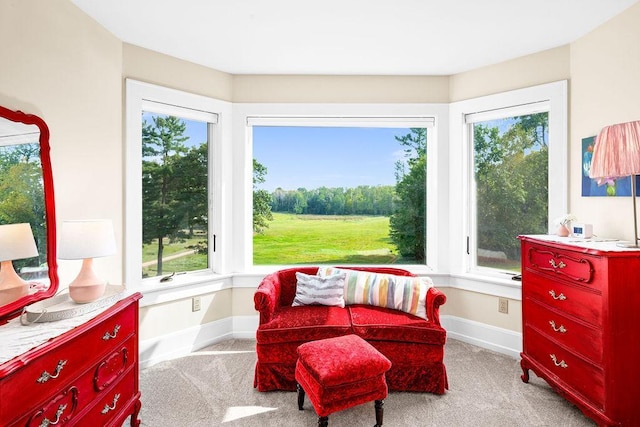 sitting room with baseboards and carpet flooring