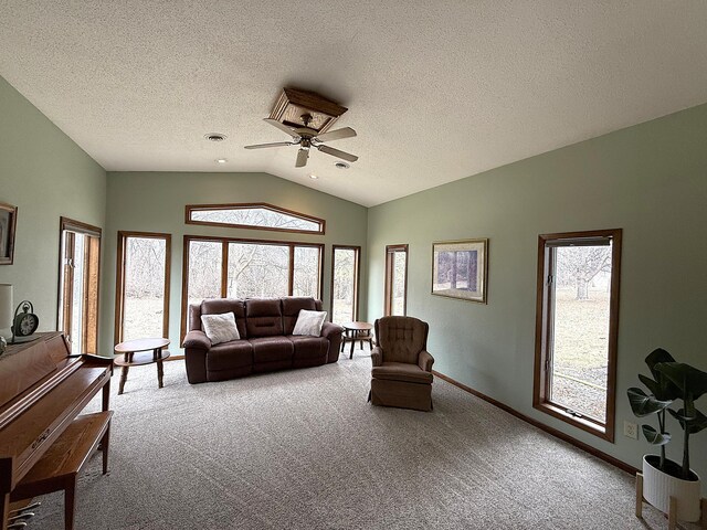2675 380th St, Clarkfield, MN 56218 - photo 28