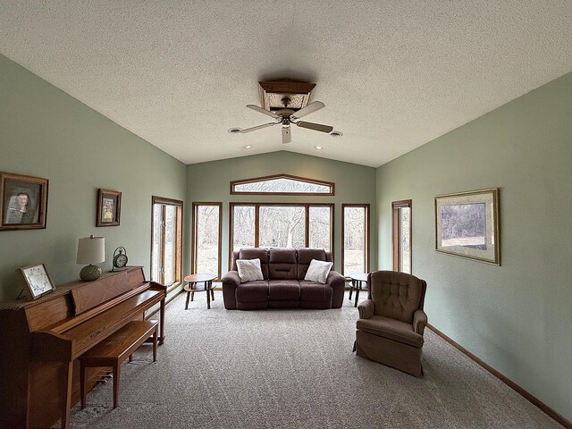 2675 380th St, Clarkfield, MN 56218 - photo 29