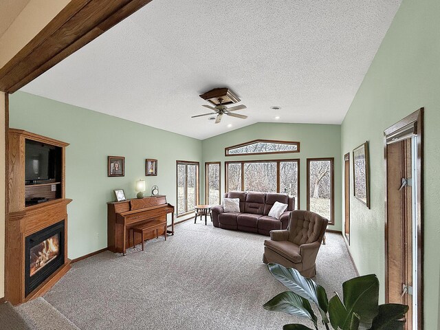 2675 380th St, Clarkfield, MN 56218 - photo 30
