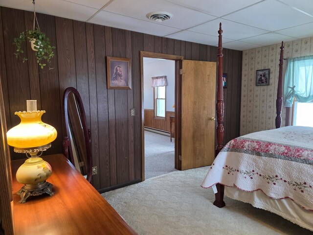 2675 380th St, Clarkfield, MN 56218 - photo 61