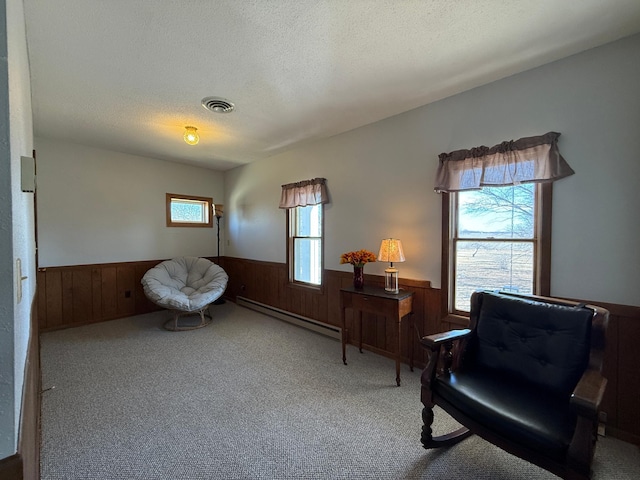 2675 380th St, Clarkfield, MN 56218 - photo 62