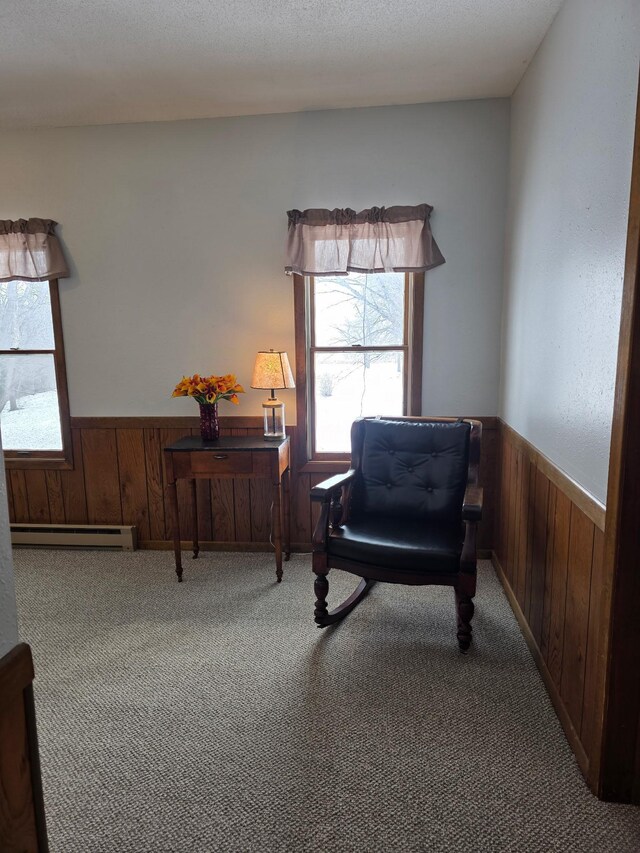 2675 380th St, Clarkfield, MN 56218 - photo 63