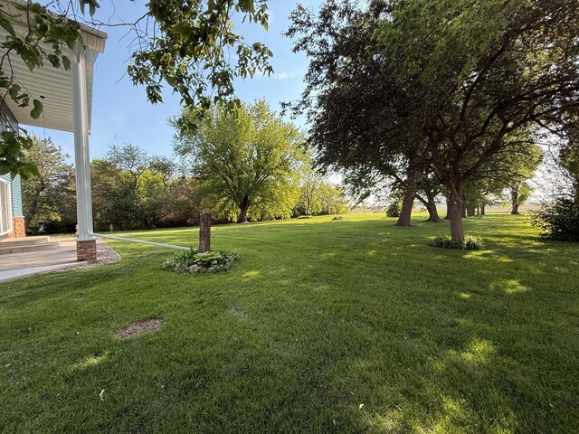 2675 380th St, Clarkfield, MN 56218 - photo 119