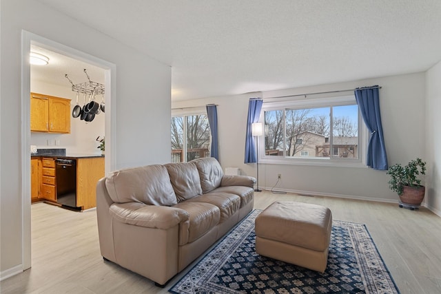 living area featuring light wood-style floors, baseboards, and a textured ceiling