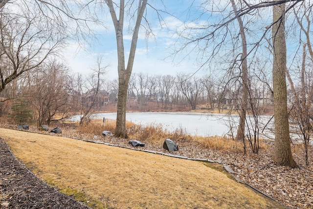 view of yard with a water view