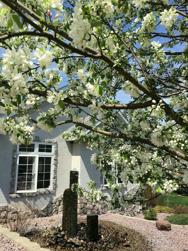 10590 Alamo St NE, Blaine, MN 55449 - view of side of property featuring stucco siding and stone siding