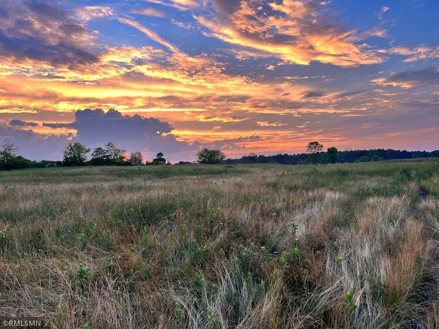 view of local wilderness featuring a rural view