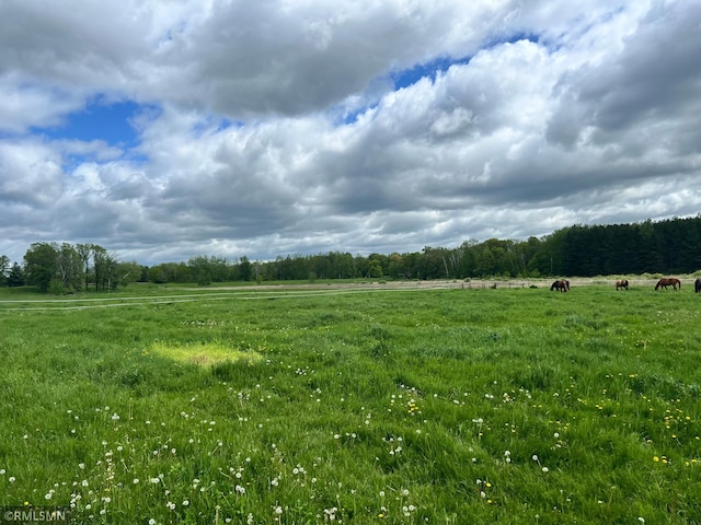 view of landscape featuring a rural view