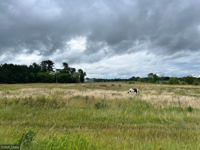 view of nature featuring a rural view