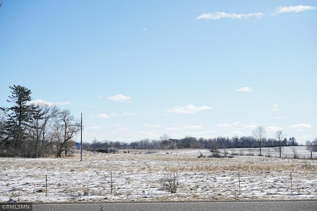 view of yard with a rural view