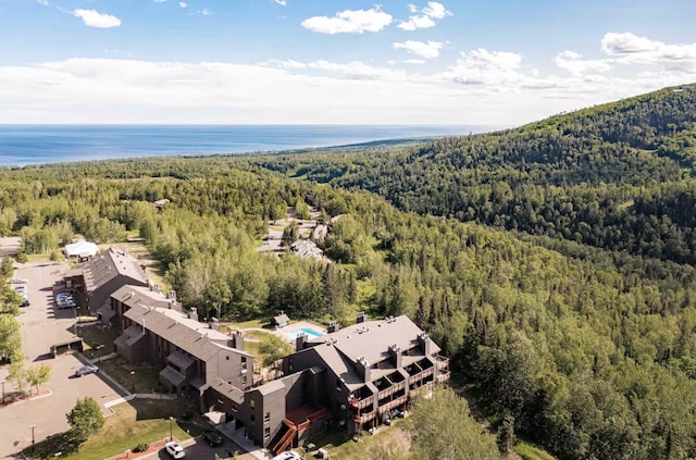 birds eye view of property featuring a water view and a forest view