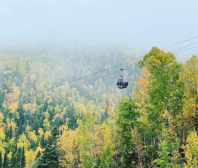 drone / aerial view with a forest view