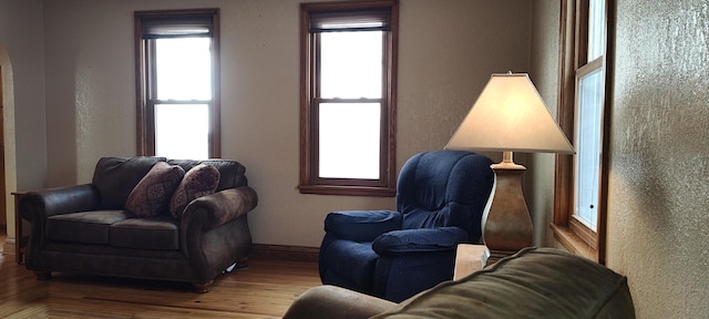 sitting room with plenty of natural light, baseboards, and wood finished floors