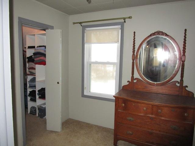 carpeted bedroom featuring a closet