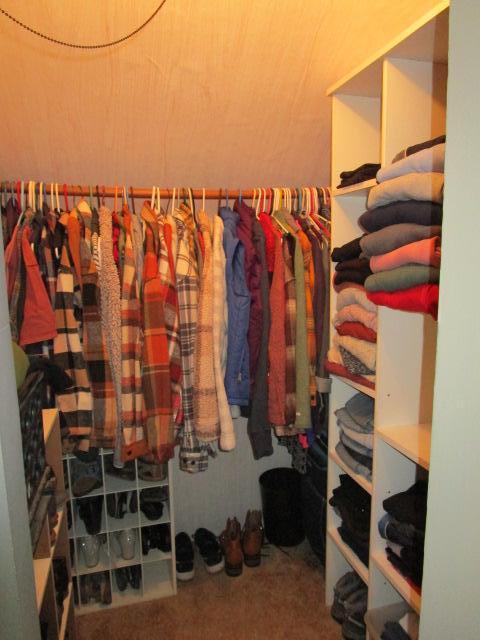 spacious closet with carpet