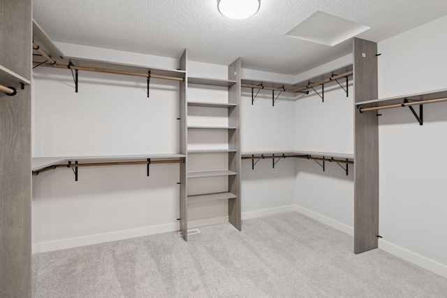 spacious closet with carpet