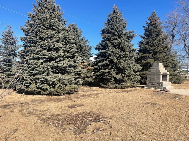 view of yard featuring an outdoor fireplace