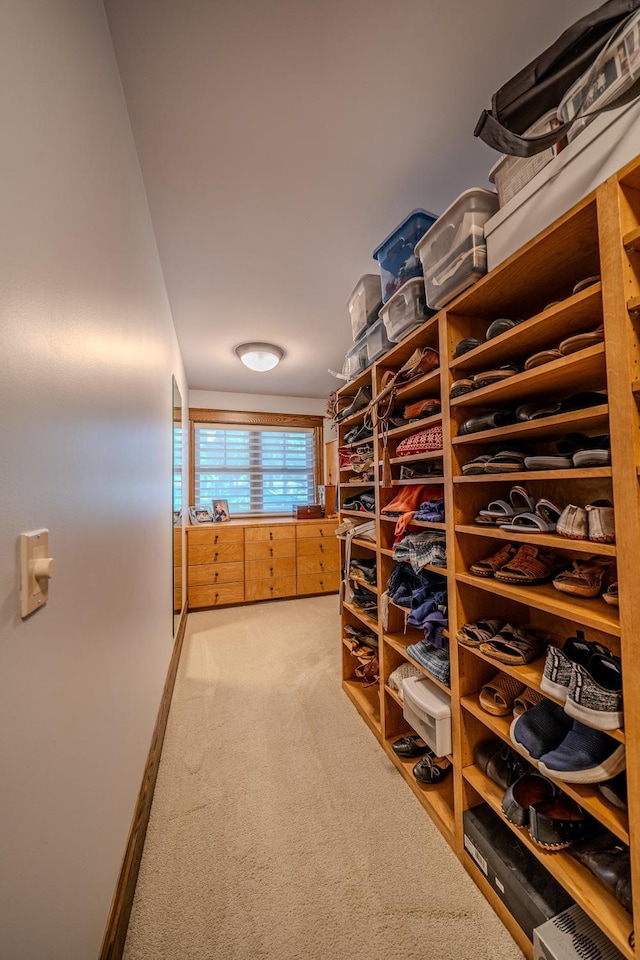 spacious closet featuring light carpet