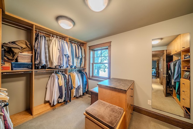 walk in closet with carpet floors
