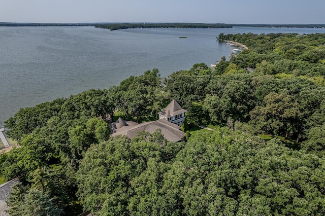 bird's eye view featuring a water view and a wooded view