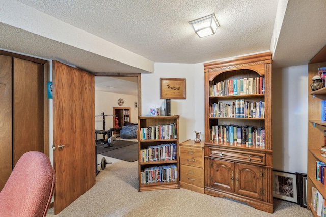 interior space featuring carpet flooring and a textured ceiling