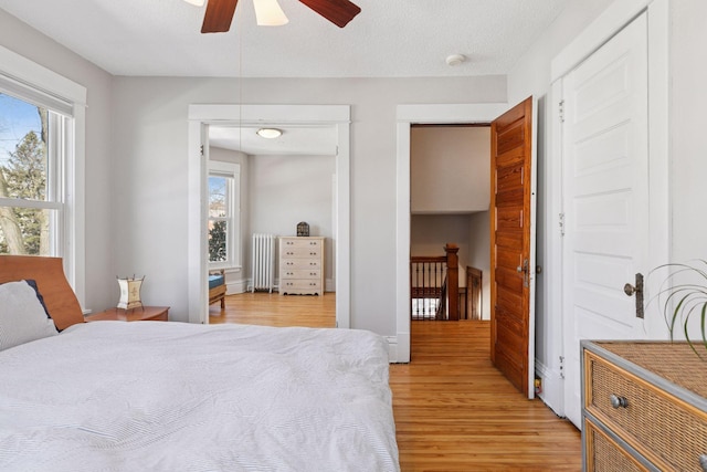 bedroom with multiple windows, radiator heating unit, light wood finished floors, and a textured ceiling